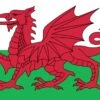 Wales Welsh Dragon Flag 5ft By 3Ft -World Of Camping 625cb243e2a7fdda424a1f668b1ae938