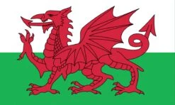 Wales Welsh Dragon Flag 5ft By 3Ft